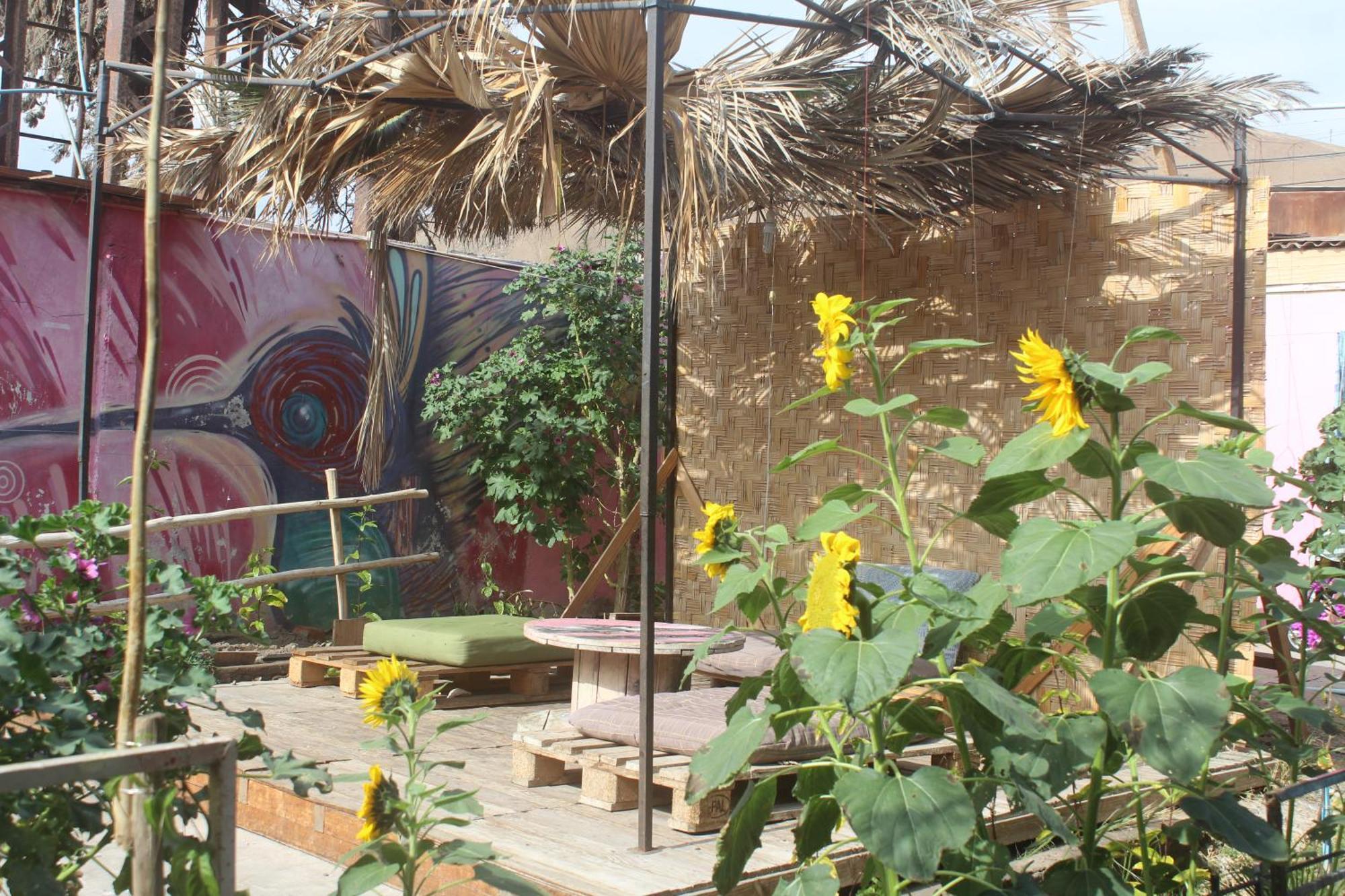 Hostel Posada De Gallo Arica Exterior foto