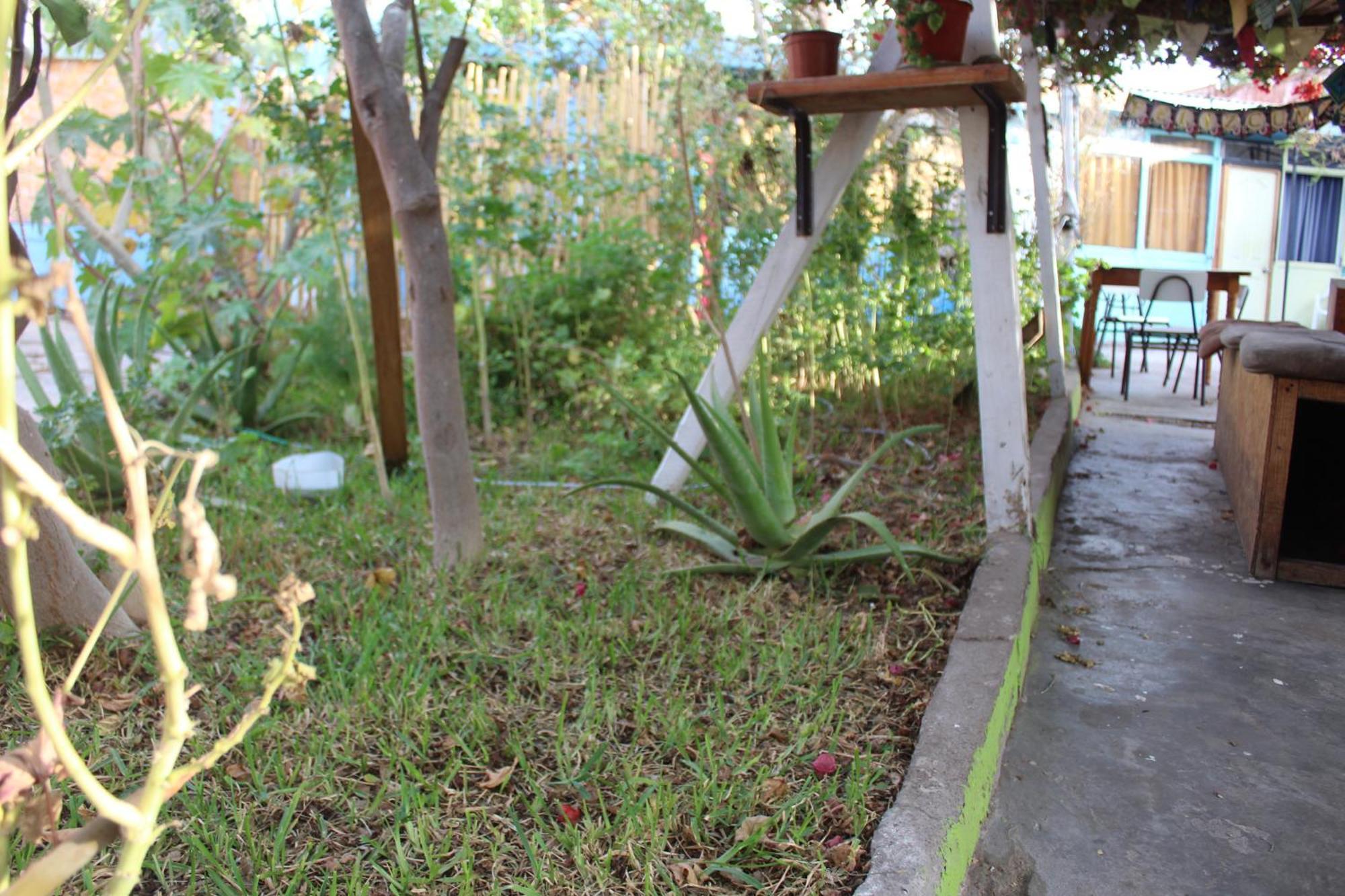 Hostel Posada De Gallo Arica Exterior foto